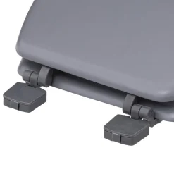 Abattant WC bois gris