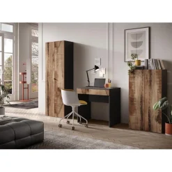 Armoire 2 portes multifonctionnelle Bois