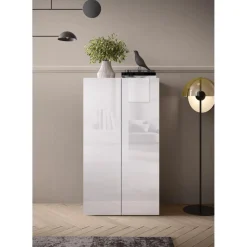 Armoire de stockage 2 portes multifonctionnelle