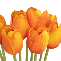 Bouquet de 10 tulips orange