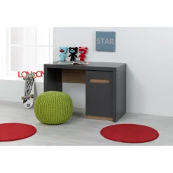 Bureau Dim : 110 x 55 x H75 gris