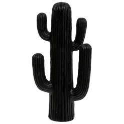 Cactus déco