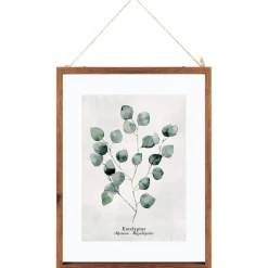 Cadre en Verre Feuilles Eucalyptus