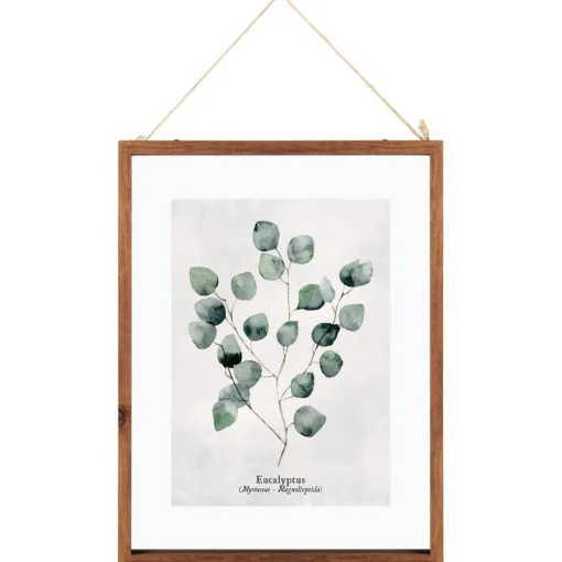 Cadre en Verre Feuilles Eucalyptus
