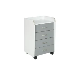 Caisson De Rangement Sur Roulettes Gris Blanc