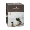 Cloche Verre Socle Bois transparent