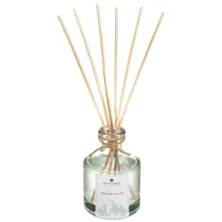 Coffret Senteur Wildvoir Orange Cannelle