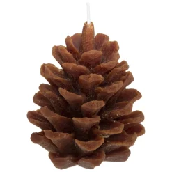 Coffret Senteur Wildvoir Orange Cannelle