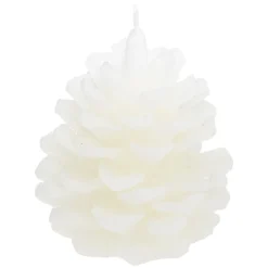 Coffret Senteur Wildvoir Orange Cannelle