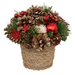 Composition en pot houx étoile rouge