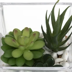 Composition Plante Pot KRE 12