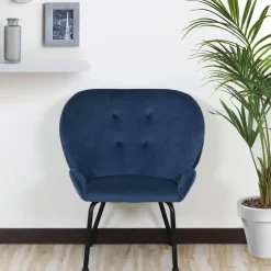 Fauteuil Velours Bleu