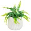 Fougère en Pot Céramique Blanc Paro