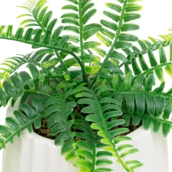 Fougère en Pot Céramique Blanc Paro