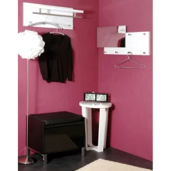 Garderobe murale barre et 4 crochets optique inox