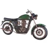 Garderobe murale vintage Moto 5 crochets vert