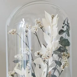 Gelusse Déco végetale sous cloche