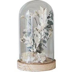 Gelusse Déco végetale sous cloche