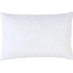 Interieur de coussin Plumes Blanc 60 x 40