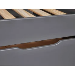 Lit multi fonction DREAM THE FUTURE Gris 90x200 Sommiers inclus Matelas non inclus