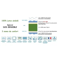 Lit Relaxation 100% Latex 5 Zones + Sommier Gris Anthractite Tous Plots Avec Réglage Fermeté