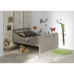 Lit évolutif Lin FEROE