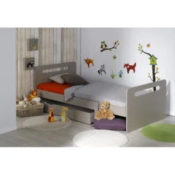 Lit évolutif Lin FEROE