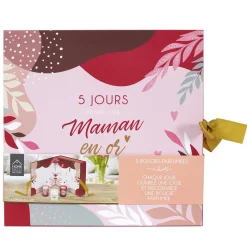 Lot de 5 Bougies Parfumées Calendrier Maman en verre