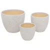 Lot de 3 pots