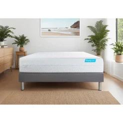 Matelas BIOCARE Mousse a memoire de forme BIO 5 zones Maxi epaisseur