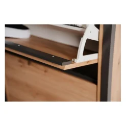 Meuble à Chaussures 3 Abattants DENVER