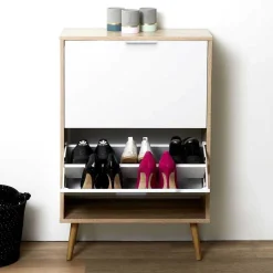 Meuble A Chaussures 2 Portes en Bois