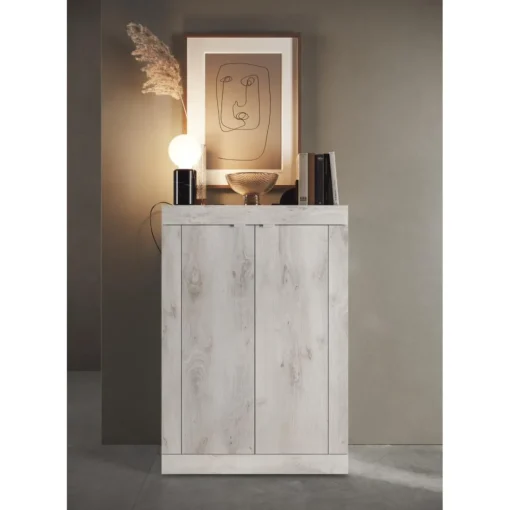 Meuble de rangement 2 portes multifonctionnel Blanc
