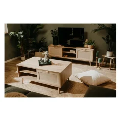 Meuble TV 2 portes Impression Rotin BALI