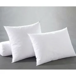 Oreiller antiacariens duvet canard Becquet Blanc