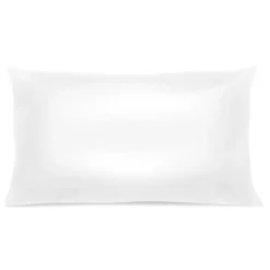 Oreiller Hygiène Plus Anti-acariens Microfibre