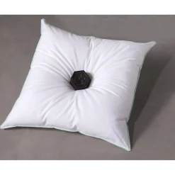 Oreiller Moelleux Antitranspiration