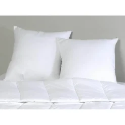 Oreiller Moelleux CONFORT Sélenia 60x60 cm