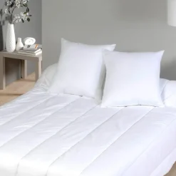 Oreiller Relaxant en microfibre et carbone 60x60cm