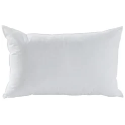 Oreillers antiacariens 30% duvet de canard neuf