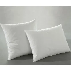 Oreillers antiacariens 30% duvet de canard neuf