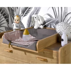 Plan à Langer CAPRICE