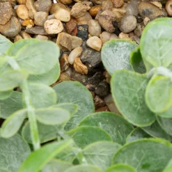 Plante artificielle suspendue Zea