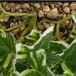 Plante artificielle suspendue Curt Pot métal noir