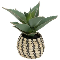 Plante Samouraï articifielle