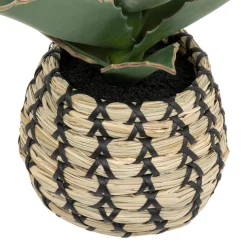 Plante Samouraï articifielle