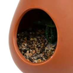 Plante suspendue goutte marron caramel