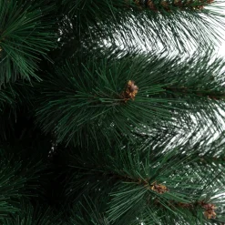 Sapin Windy Peak Vert