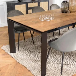 Table à manger MAXENCE 220/6501 pieds métal