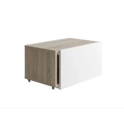 Table Basse Couleur Chêne Blanc SLIDE